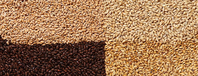 Verschillende soorten malt Verschillende soorten malt