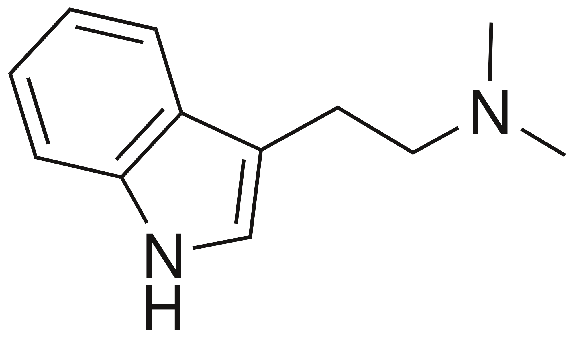 Dimethyltryptamine Dimethyltryptamine