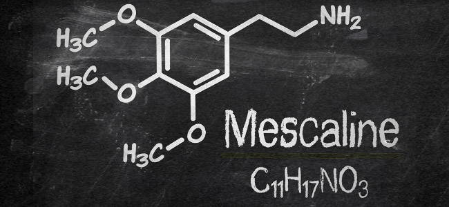 Mescaline molecuul Mescaline molecuul