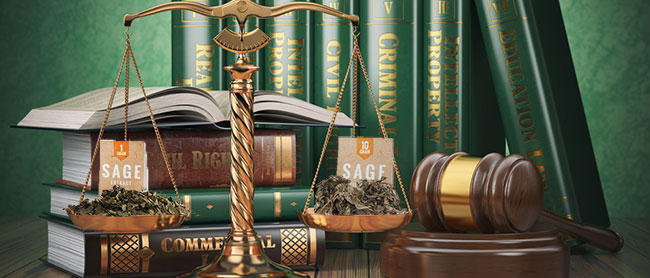 Legaliteit van Salvia Legaliteit van Salvia
