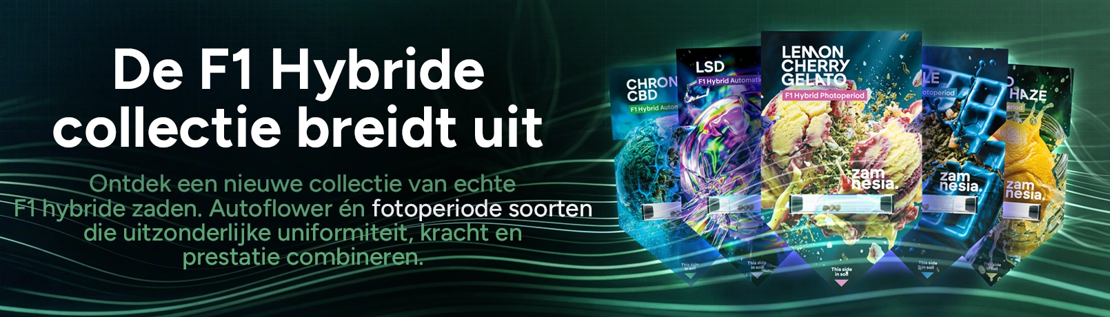 F1 Offerpage Banner NL_offer