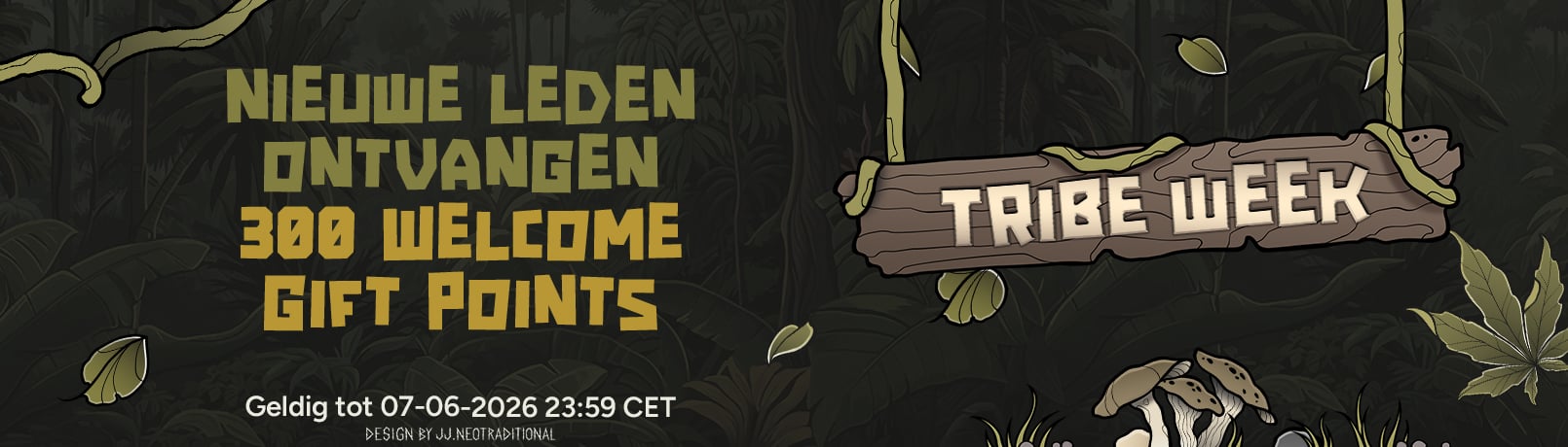 NL TW5 Offerpage Banners_offer_4
