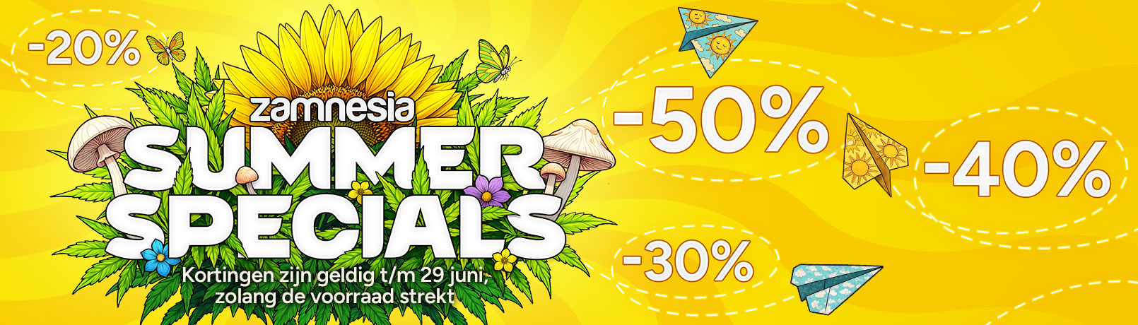 NLss_offer