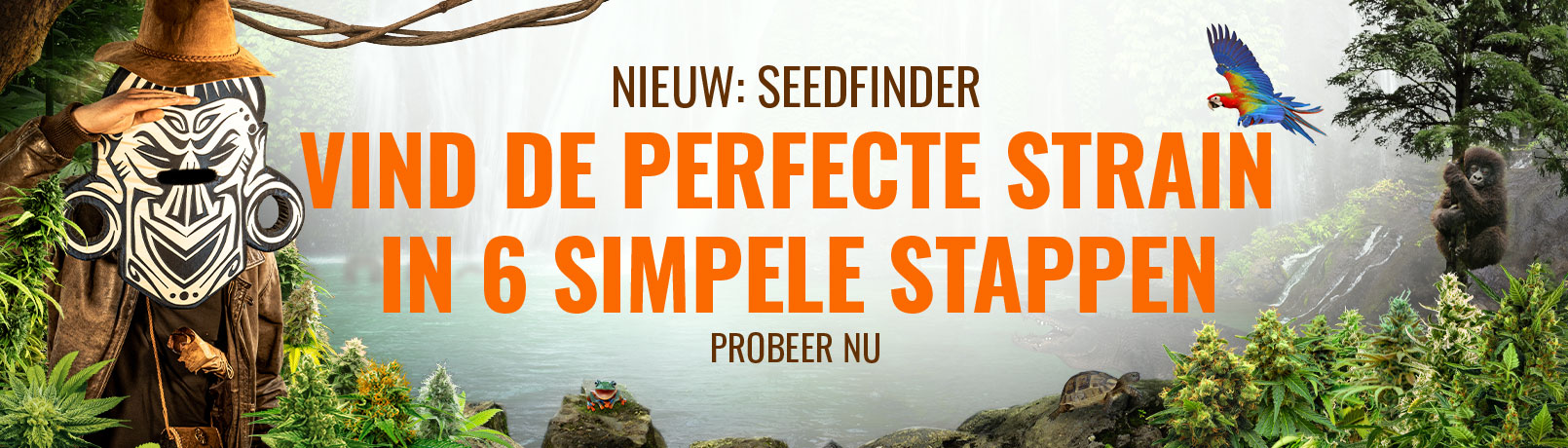 Seedfinder Current Offer Banner NL_offer