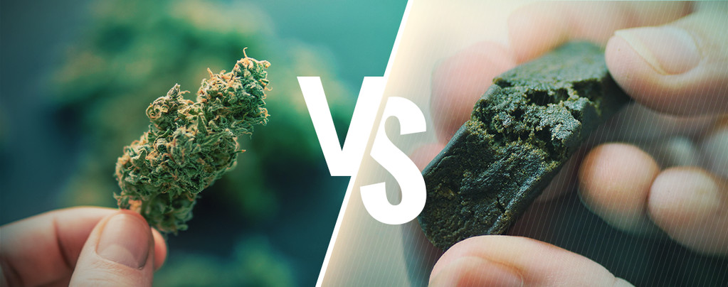 Het Verschil Tussen Cannabis En Hasj
