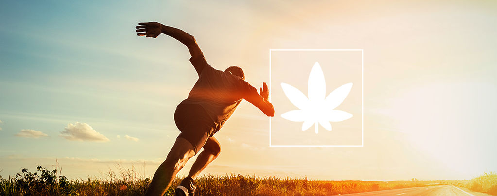 Cannabis en sporten