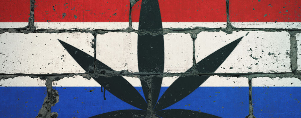 Cannabis Rookplekken Nederland