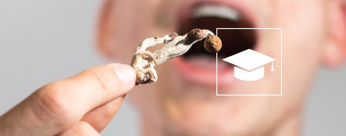 Magic Mushrooms Gebruiken Om Te Studeren: Helpt Het?