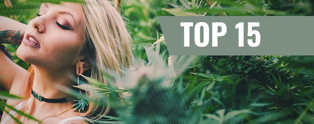 Top 15 Vrouwelijke Cannabis-Influencers Op Instagram [2021]