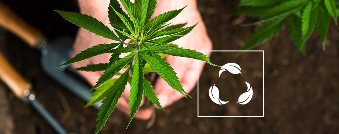 Wat Is Gerecyclede Biologische Levende Grond (ROLS)?