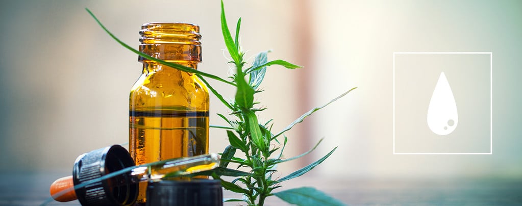 Een Complete Gids Over CO₂ Cannabis Olie