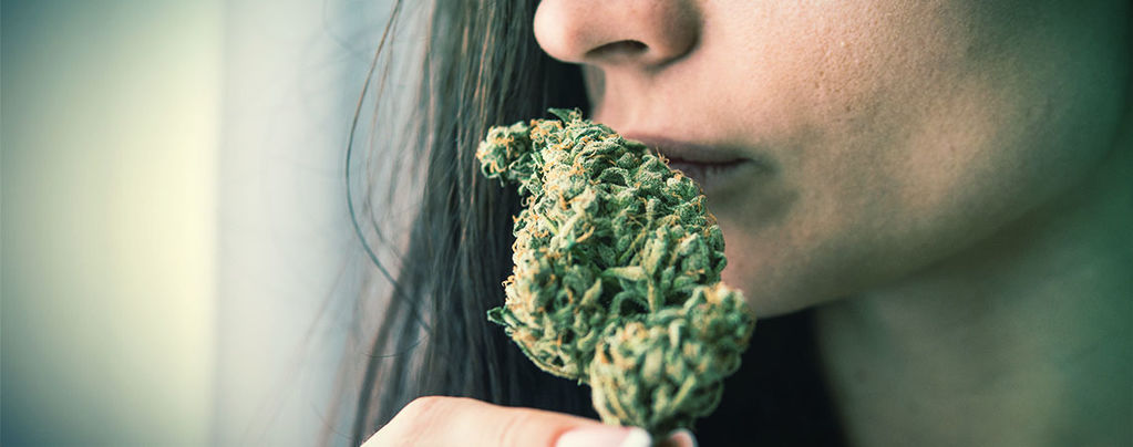 Elimineer De Geur Van Cannabis