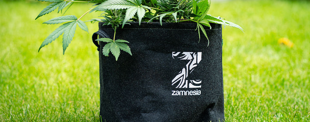Wat Is Een Smart Pot En Hoe Maak Je Er Zelf Een?