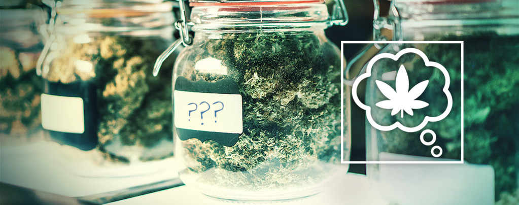 Hoe Zouden We Cannabissoorten In De Toekomst Een Naam Moeten Geven?