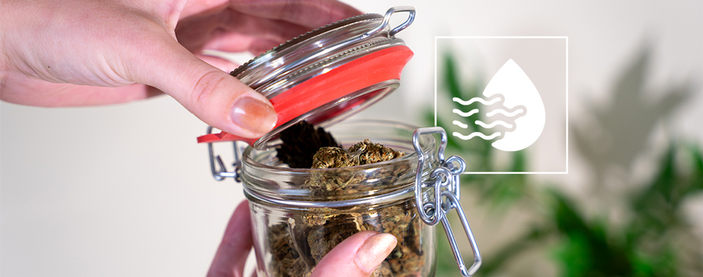Cannabis Toppen: Drogen en Curen