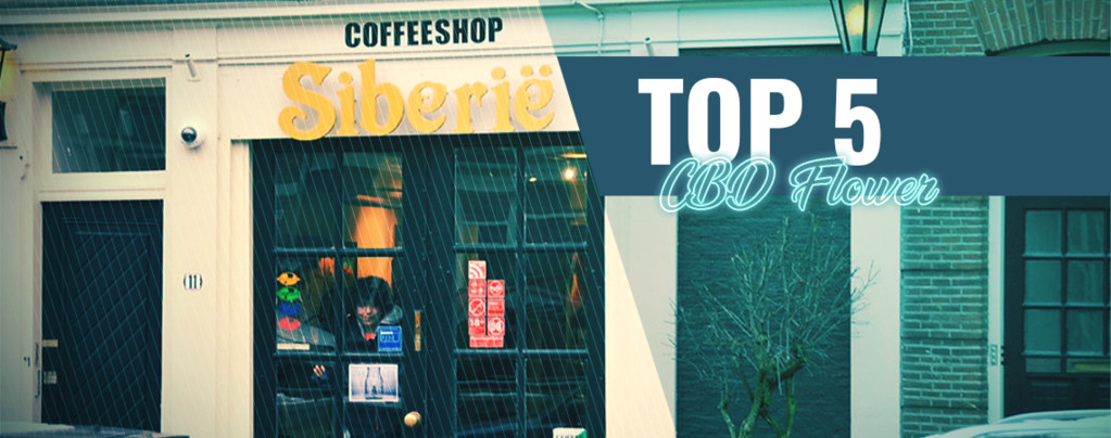 Top 5 Coffeeshops Voor CBD-wiet