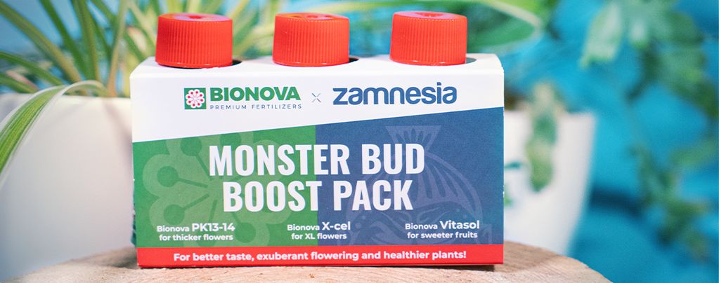Gebruik Monster Bud Boost Pack Om Fruitigere Wiettoppen Te Kweken