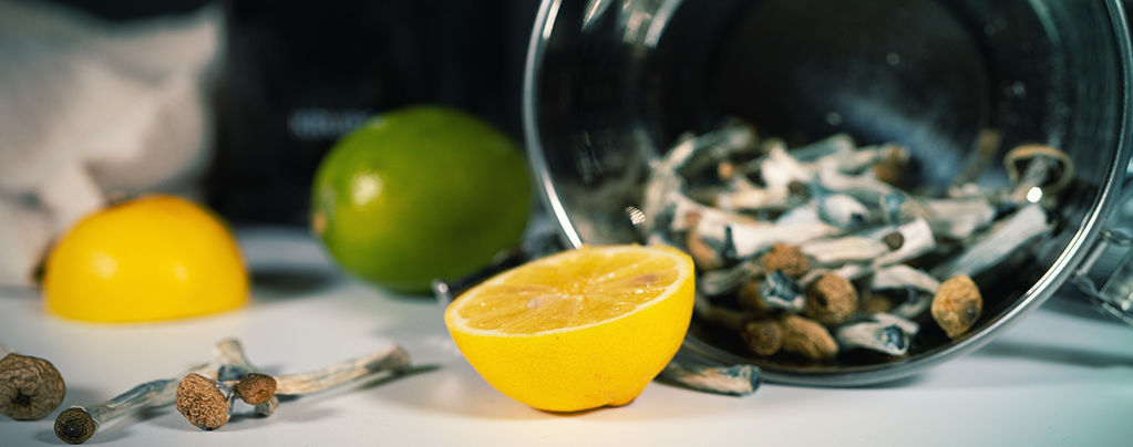 Hoe Maak Je Lemon Tek Voor Een Snellere Paddo/Truffle Trip?