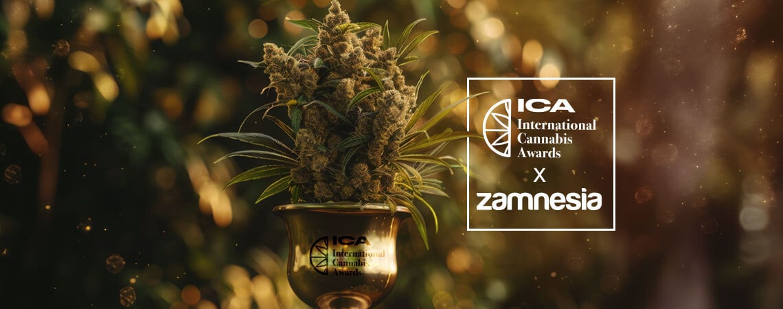 International Cannabis Awards 2024 — Zamnesia Pakt De Overwinning!