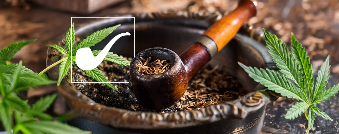 Is Langebroek Blad uit The Lord of the Rings wiet?
