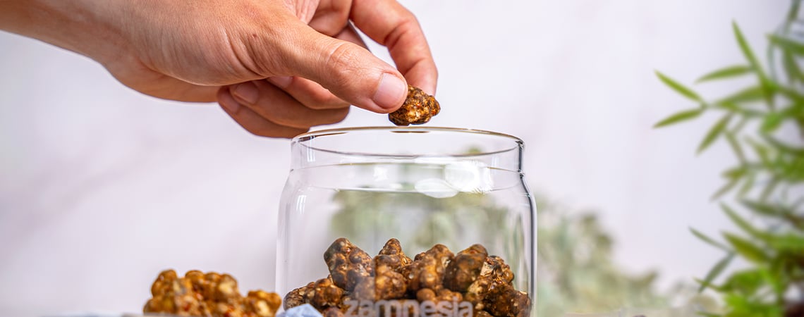 Hoe bewaar je magic truffles?