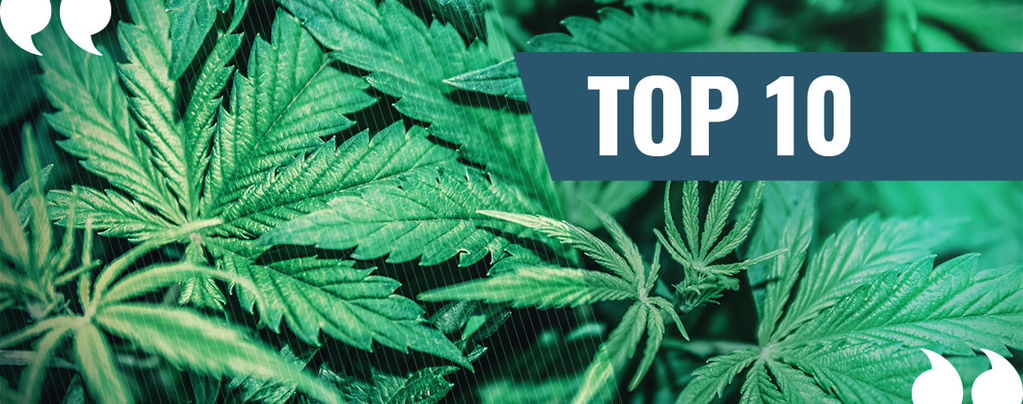 Top 10 Beste Marihuana Citaten Aller Tijden! 