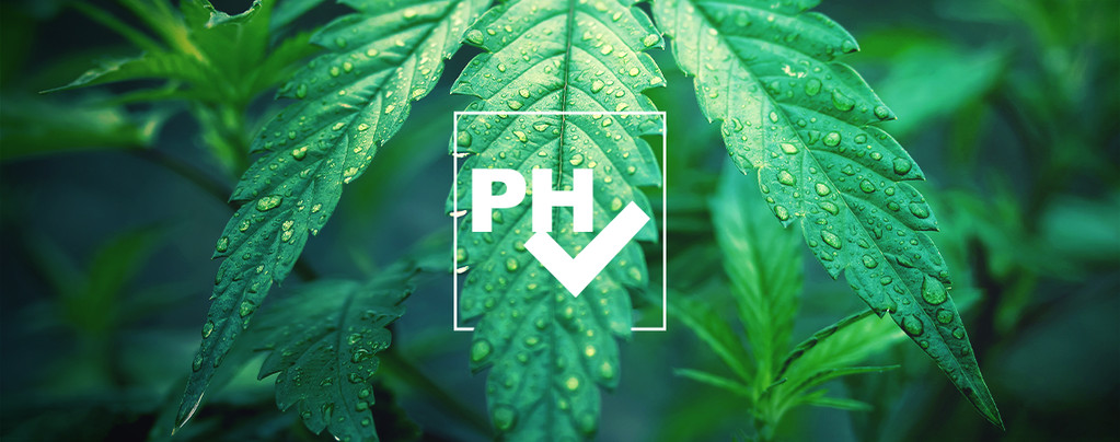  pH-waarde Aanpassen Kweken Van Cannabis
