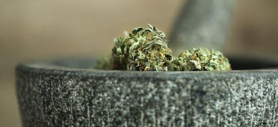 10 Manieren Om Cannabis Te Vermalen Zonder Grinder [2025 Update]