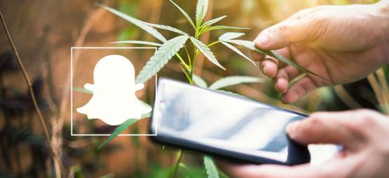 9 Cannabisaccounts Om Te Volgen Op Snapchat