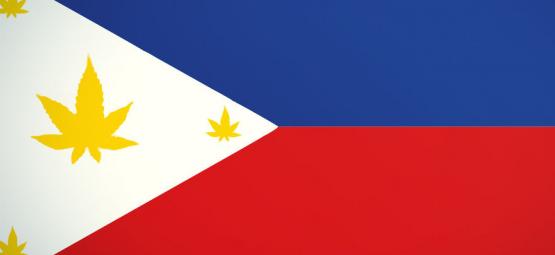 Drugswetten In De Filipijnen