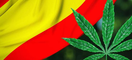 Regulatie verspreiding: Bilbao gaat cannabis clubs reguleren
