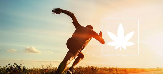 Effecten Van Cannabis Op Sportprestaties 