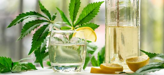 Hoe Je Ginjah Maakt: Met Cannabis Verrijkte Gin-tonic