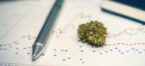 De Voor- (En Nadelen) Van Cannabisgebruik Bij Het Studeren Of Trainen