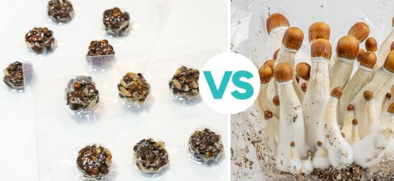 Magic truffles versus paddo's: en de winnaar is?