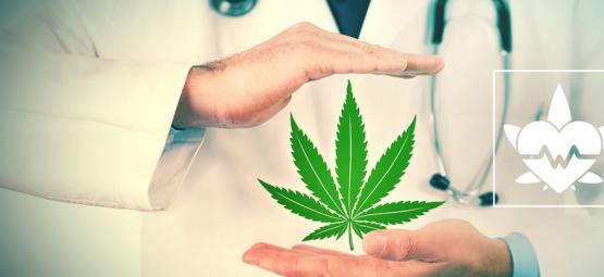 Wat Is De Beste Manier Om Medicinale Cannabis Te Gebruiken?