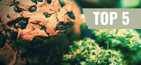 Top 5 Cannabis Koekjes Recepten