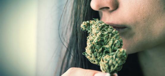 Hoe Verberg Of Voorkom Je De Geur Van Cannabis?