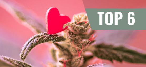 Top 6 Cannabis Strains Voor Valentijnsdag