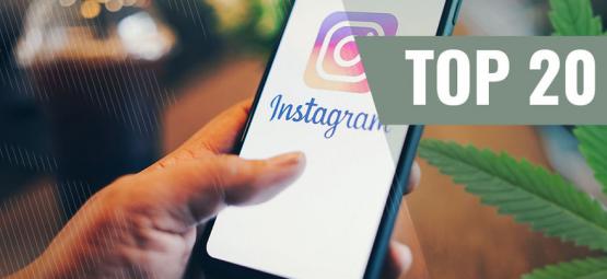 De 20 Beste Wietgerelateerde Instagram-Accounts [Update 2021]