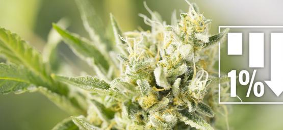 6 Cannabis Strains Met 1% Of Minder THC 
