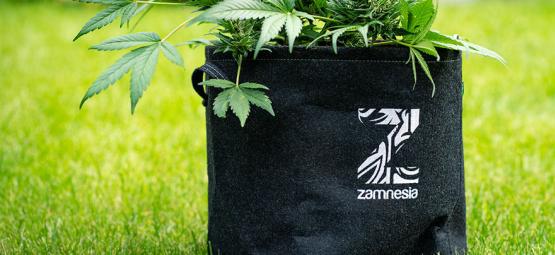 Wat Is Een Smart Pot En Hoe Maak Je Er Zelf Een?