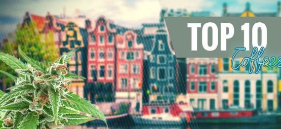 Top 10 Cannabis Soorten Uit De Coffeeshop