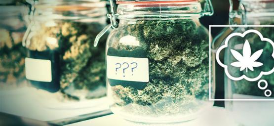 Hoe Zouden We Cannabissoorten In De Toekomst Een Naam Moeten Geven?