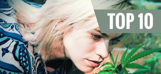 Top 10 Cannabisvariëteiten Die Geen Sterke Geur Hebben