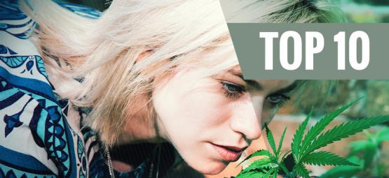 Top 10 Cannabisvariëteiten Die Geen Sterke Geur Hebben