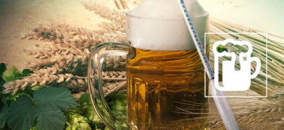 Het Hoe En Wat Van De Hydrometer: Het Geheim Voor Geweldig Bierbrouwen