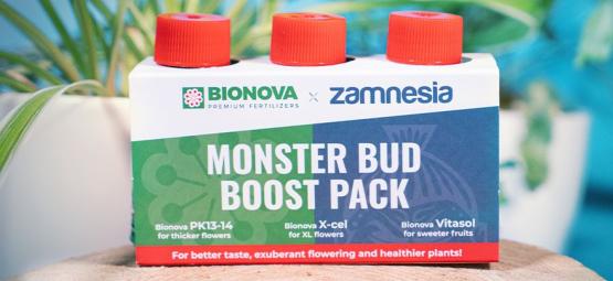 Gebruik Monster Bud Boost Pack Om Fruitigere Wiettoppen Te Kweken