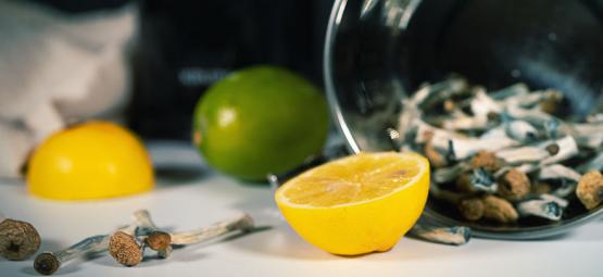 Hoe Maak Je Lemon Tek Voor Een Snellere Paddo/Truffle Trip?