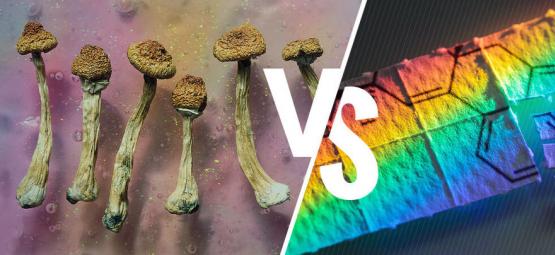 Paddo's Versus LSD: Wat Is Het Verschil?
